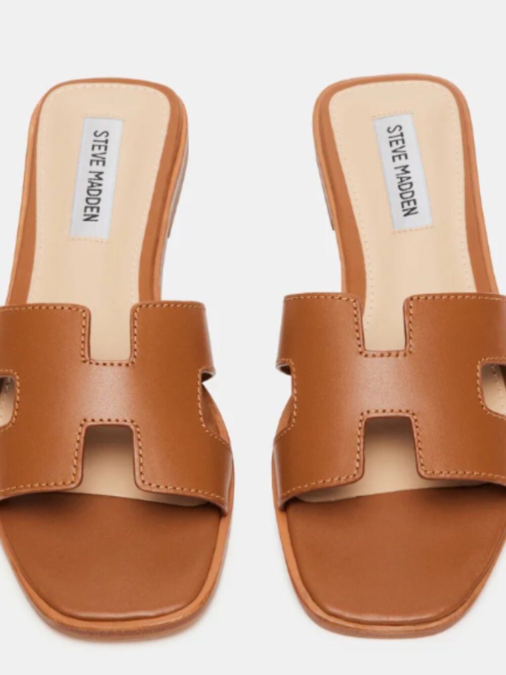 NWOB Steve Madden